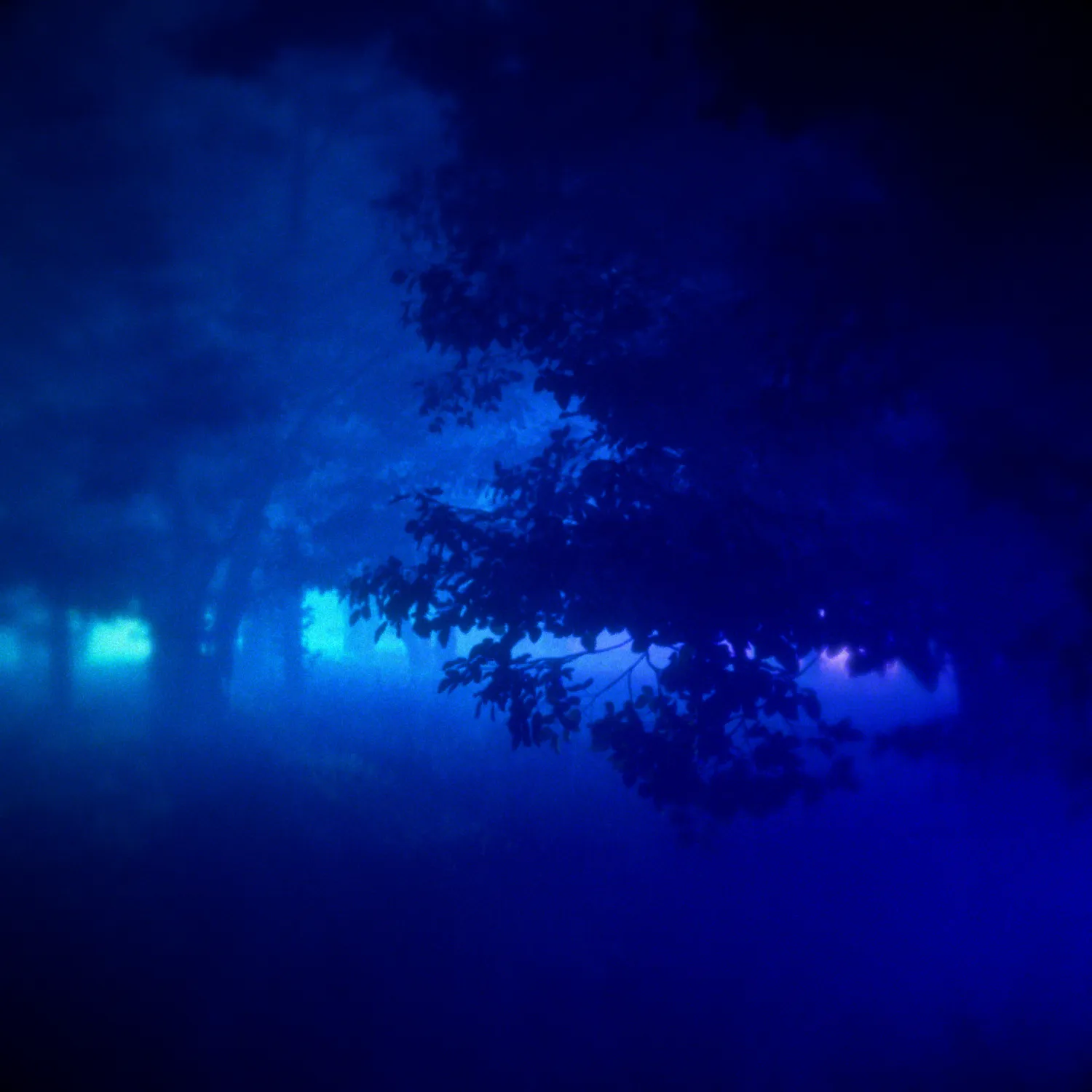 Information about the lifetimes release